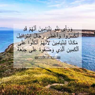 Picture 07 - اَلْقُضَاة 20:36 AVD - وَرَأَى بَنُو - Bible Verse Picture