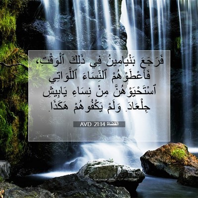 Picture 07 - اَلْقُضَاة 21:14 AVD - فَرَجَعَ بَنْيَامِينُ فِي - Bible Verse Picture