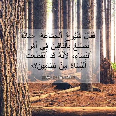 Picture 07 - اَلْقُضَاة 21:16 AVD - فَقَالَ شُيُوخُ - Bible Verse Picture
