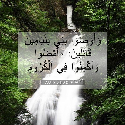 Picture 07 - اَلْقُضَاة 21:20 AVD - وَأَوْصَوْا بَنِي - Bible Verse Picture