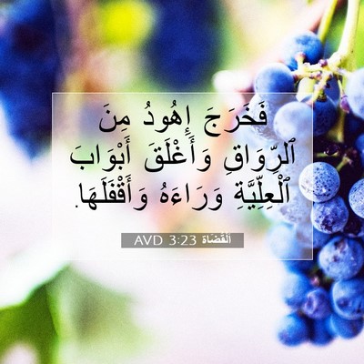 Picture 07 - اَلْقُضَاة 3:23 AVD - فَخَرَجَ إِهُودُ مِنَ - Bible Verse Picture