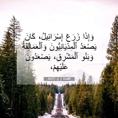 Picture 07 - اَلْقُضَاة 6:3 AVD - وَإِذَا زَرَعَ - Bible Verse Picture