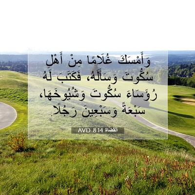Picture 07 - اَلْقُضَاة 8:14 AVD - وَأَمْسَكَ غُلَامًا مِنْ - Bible Verse Picture