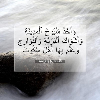 Picture 07 - اَلْقُضَاة 8:16 AVD - وَأَخَذَ شُيُوخَ - Bible Verse Picture