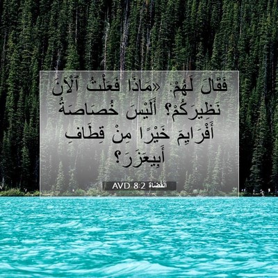 Picture 07 - اَلْقُضَاة 8:2 AVD - فَقَالَ لَهُمْ: «مَاذَا - Bible Verse Picture