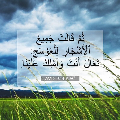 Picture 07 - اَلْقُضَاة 9:14 AVD - ثُمَّ قَالَتْ جَمِيعُ - Bible Verse Picture