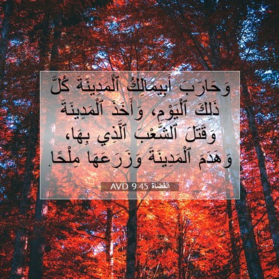 Picture 07 - اَلْقُضَاة 9:45 AVD - وَحَارَبَ أَبِيمَالِكُ - Bible Verse Picture