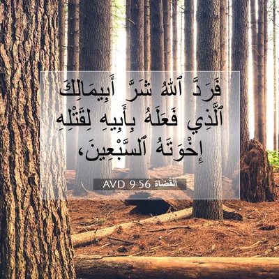 Picture 07 - اَلْقُضَاة 9:56 AVD - فَرَدَّ ٱللهُ شَرَّ - Bible Verse Picture