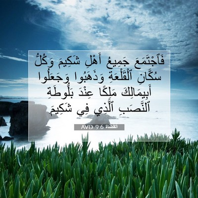 Picture 07 - اَلْقُضَاة 9:6 AVD - فَٱجْتَمَعَ جَمِيعُ - Bible Verse Picture