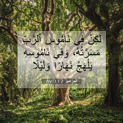 Picture 07 - اَلْمَزَامِيرُ 1:2 AVD - لَكِنْ فِي نَامُوسِ - Bible Verse Picture