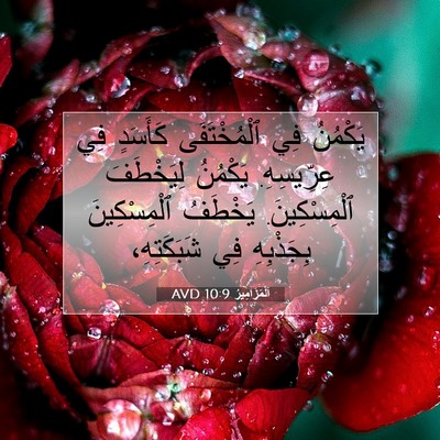Picture 07 - اَلْمَزَامِيرُ 10:9 AVD - يَكْمُنُ فِي ٱلْمُخْتَفَى - Bible Verse Picture