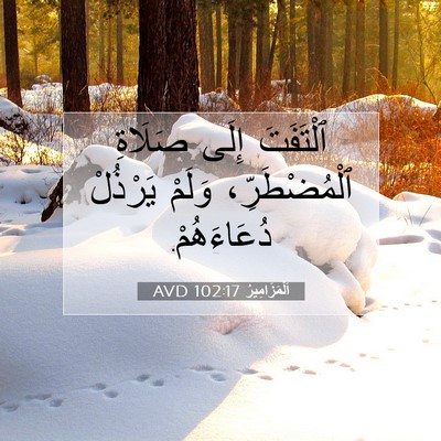 Picture 07 - اَلْمَزَامِيرُ 102:17 AVD - ٱلْتَفَتَ إِلَى صَلَاةِ - Bible Verse Picture