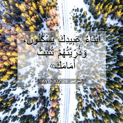Picture 07 - اَلْمَزَامِيرُ 102:28 AVD - أَبْنَاءُ عَبِيدِكَ - Bible Verse Picture