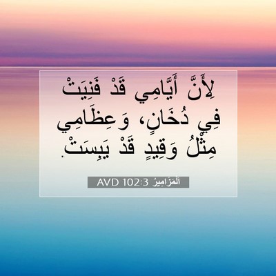 Picture 07 - اَلْمَزَامِيرُ 102:3 AVD - لِأَنَّ أَيَّامِي قَدْ - Bible Verse Picture
