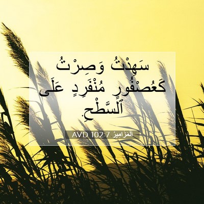 Picture 07 - اَلْمَزَامِيرُ 102:7 AVD - سَهِدْتُ وَصِرْتُ - Bible Verse Picture