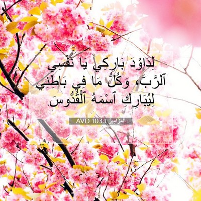 Picture 07 - اَلْمَزَامِيرُ 103:1 AVD - لِدَاوُدَ بَارِكِي يَا - Bible Verse Picture