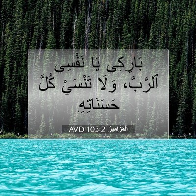 Picture 07 - اَلْمَزَامِيرُ 103:2 AVD - بَارِكِي يَا نَفْسِي - Bible Verse Picture