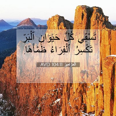 Picture 07 - اَلْمَزَامِيرُ 104:11 AVD - تَسْقِي كُلَّ حَيَوَانِ - Bible Verse Picture