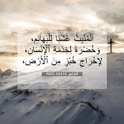Picture 07 - اَلْمَزَامِيرُ 104:14 AVD - ٱلْمُنْبِتُ عُشْبًا - Bible Verse Picture