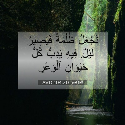 Picture 07 - اَلْمَزَامِيرُ 104:20 AVD - تَجْعَلُ ظُلْمَةً - Bible Verse Picture