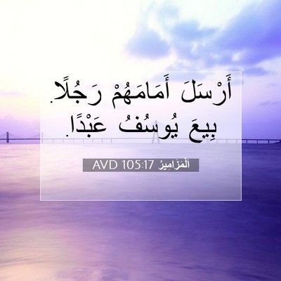 Picture 07 - اَلْمَزَامِيرُ 105:17 AVD - أَرْسَلَ أَمَامَهُمْ - Bible Verse Picture