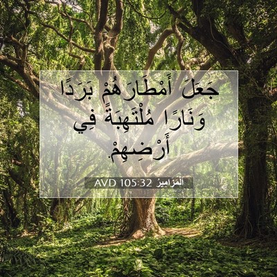 Picture 07 - اَلْمَزَامِيرُ 105:32 AVD - جَعَلَ أَمْطَارَهُمْ - Bible Verse Picture