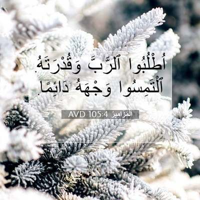 Picture 07 - اَلْمَزَامِيرُ 105:4 AVD - اُطْلُبُوا ٱلرَّبَّ - Bible Verse Picture