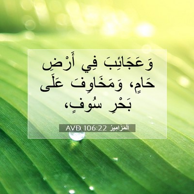Picture 07 - اَلْمَزَامِيرُ 106:22 AVD - وَعَجَائِبَ فِي أَرْضِ - Bible Verse Picture