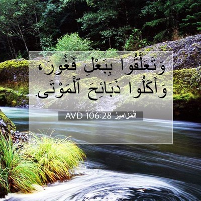 Picture 07 - اَلْمَزَامِيرُ 106:28 AVD - وَتَعَلَّقُوا بِبَعْلِ - Bible Verse Picture