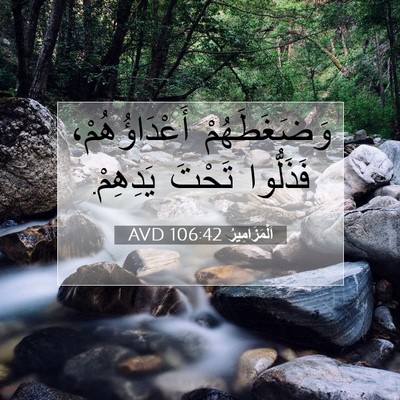 Picture 07 - اَلْمَزَامِيرُ 106:42 AVD - وَضَغَطَهُمْ - Bible Verse Picture