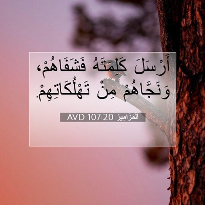 Picture 07 - اَلْمَزَامِيرُ 107:20 AVD - أَرْسَلَ كَلِمَتَهُ - Bible Verse Picture