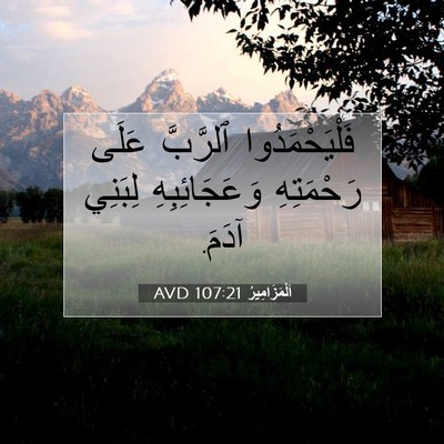 Picture 07 - اَلْمَزَامِيرُ 107:21 AVD - فَلْيَحْمَدُوا ٱلرَّبَّ - Bible Verse Picture