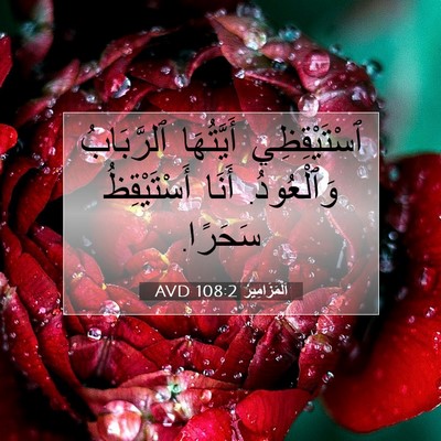 Picture 07 - اَلْمَزَامِيرُ 108:2 AVD - ٱسْتَيْقِظِي أَيَّتُهَا - Bible Verse Picture