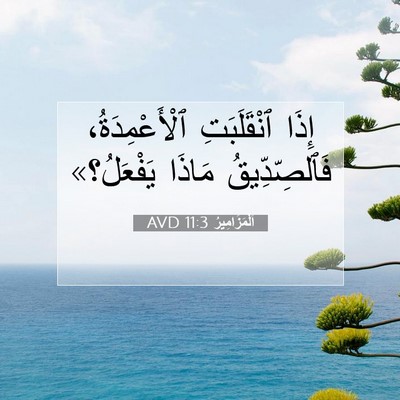 Picture 07 - اَلْمَزَامِيرُ 11:3 AVD - إِذَا ٱنْقَلَبَتِ - Bible Verse Picture
