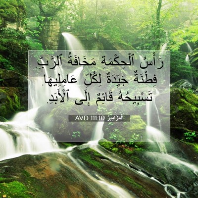Picture 07 - اَلْمَزَامِيرُ 111:10 AVD - رَأْسُ ٱلْحِكْمَةِ - Bible Verse Picture