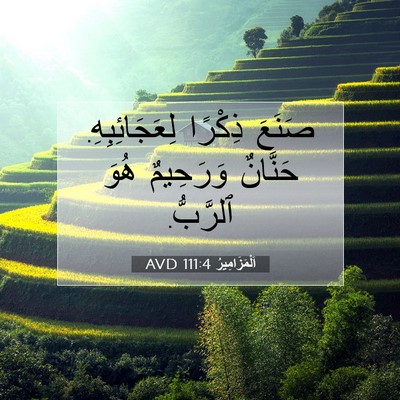 Picture 07 - اَلْمَزَامِيرُ 111:4 AVD - صَنَعَ ذِكْرًا - Bible Verse Picture