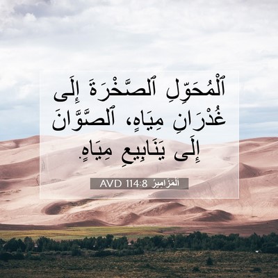 Picture 07 - اَلْمَزَامِيرُ 114:8 AVD - ٱلْمُحَوِّلِ ٱلصَّخْرَةَ - Bible Verse Picture