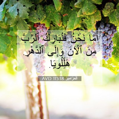 Picture 07 - اَلْمَزَامِيرُ 115:18 AVD - أَمَّا نَحْنُ فَنُبَارِكُ - Bible Verse Picture