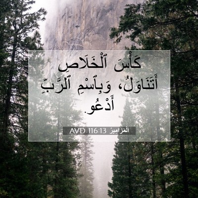 Picture 07 - اَلْمَزَامِيرُ 116:13 AVD - كَأْسَ ٱلْخَلَاصِ - Bible Verse Picture