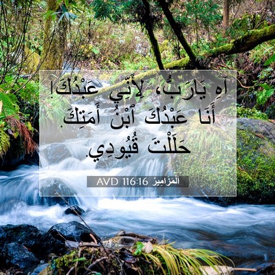 Picture 07 - اَلْمَزَامِيرُ 116:16 AVD - آهِ يَارَبُّ، لِأَنِّي - Bible Verse Picture