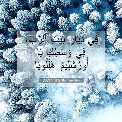Picture 07 - اَلْمَزَامِيرُ 116:19 AVD - فِي دِيَارِ بَيْتِ - Bible Verse Picture