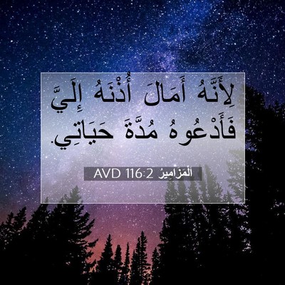 Picture 07 - اَلْمَزَامِيرُ 116:2 AVD - لِأَنَّهُ أَمَالَ - Bible Verse Picture