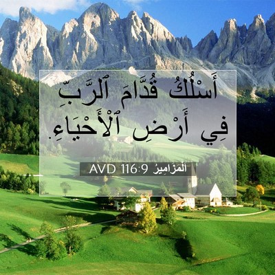 Picture 07 - اَلْمَزَامِيرُ 116:9 AVD - أَسْلُكُ قُدَّامَ - Bible Verse Picture