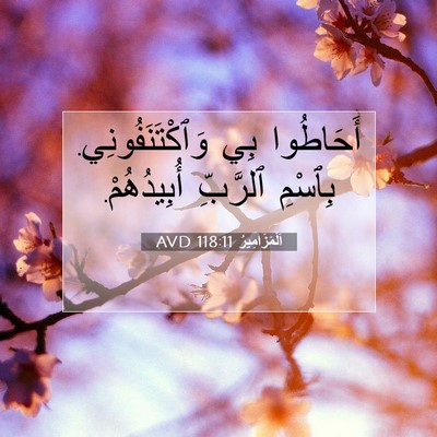 Picture 07 - اَلْمَزَامِيرُ 118:11 AVD - أَحَاطُوا بِي - Bible Verse Picture