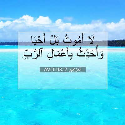 Picture 07 - اَلْمَزَامِيرُ 118:17 AVD - لَا أَمُوتُ بَلْ أَحْيَا - Bible Verse Picture