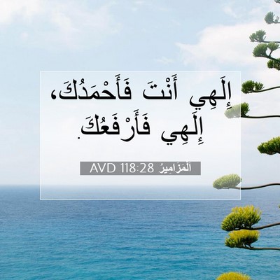 Picture 07 - اَلْمَزَامِيرُ 118:28 AVD - إِلَهِي أَنْتَ - Bible Verse Picture