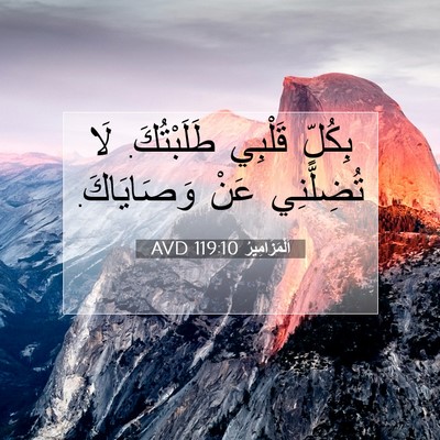 Picture 07 - اَلْمَزَامِيرُ 119:10 AVD - بِكُلِّ قَلْبِي - Bible Verse Picture
