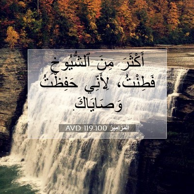 Picture 07 - اَلْمَزَامِيرُ 119:100 AVD - أَكْثَرَ مِنَ ٱلشُّيُوخِ - Bible Verse Picture
