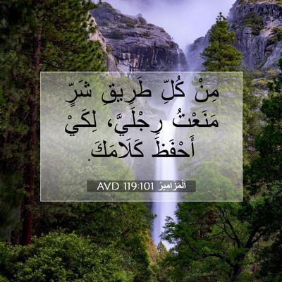 Picture 07 - اَلْمَزَامِيرُ 119:101 AVD - مِنْ كُلِّ طَرِيقِ شَرٍّ - Bible Verse Picture