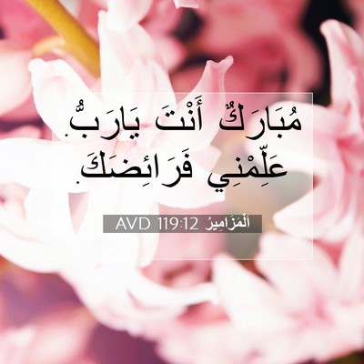 Picture 07 - اَلْمَزَامِيرُ 119:12 AVD - مُبَارَكٌ أَنْتَ يَارَبُّ. - Bible Verse Picture
